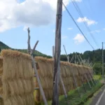 柏崎市谷根の風景